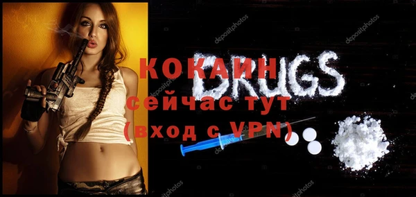Альфа ПВП Бородино
