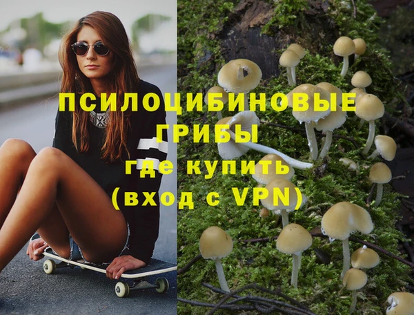 соль курить ск Бронницы