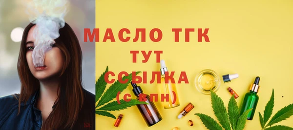 Альфа ПВП Бородино