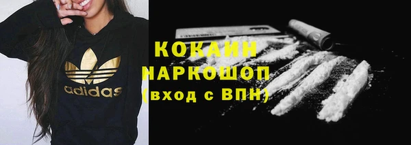 Альфа ПВП Бородино